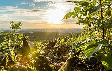 Blick auf den Teutoburger Wald im Sonnenschein